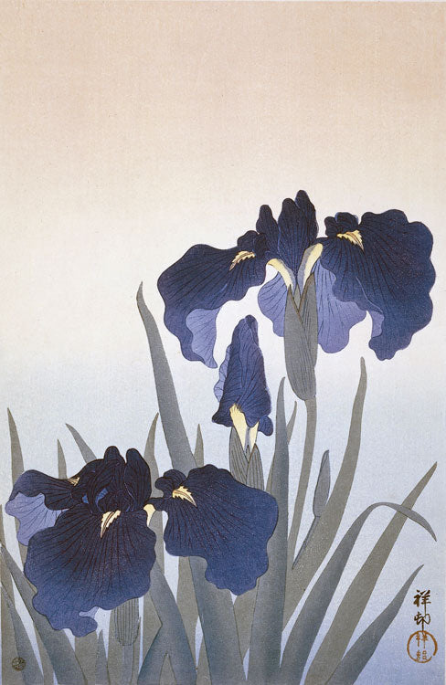 Irysy - Ohara Koson